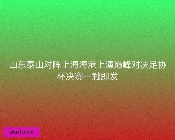 山东泰山对阵上海海港上演巅峰对决足协杯决赛一触即发