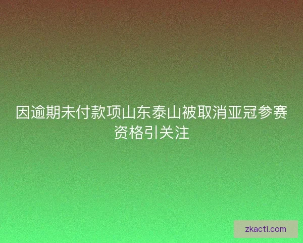 因逾期未付款项山东泰山被取消亚冠参赛资格引关注